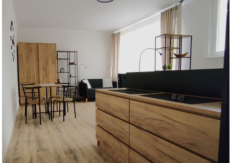 Mieszkanie do wynajęcia - Grodzka Śródmieście, Szczecin, 32 m², 2250 PLN, NET-1538646464