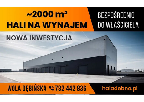 Hala do wynajęcia - Dębno, brzeski, 2069,5 m², 29 800 PLN, NET-1538847340