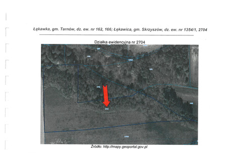 Działka na sprzedaż - Łękawica, Skrzyszów, tarnowski, 6800 m², 17 000 PLN, NET-1539781130