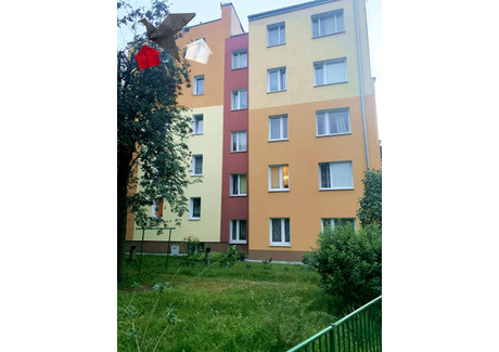 Mieszkanie na sprzedaż - Kosińskiego centrum, Sochaczew, sochaczewski, 49,64 m², 396 000 PLN, NET-1539863475