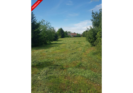 Działka na sprzedaż - Brusy-Jaglie, Brusy, Chojnicki, 3074 m², 299 000 PLN, NET-PO9435-0