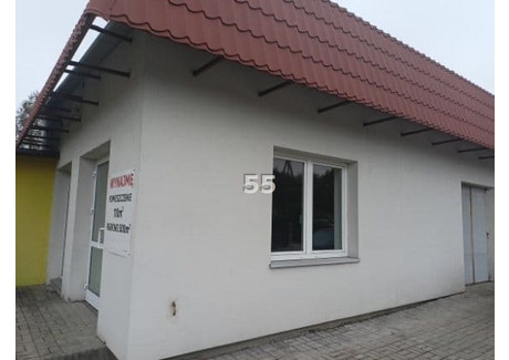 Komercyjne do wynajęcia - Pabianice, Pabianicki, 110 m², 4000 PLN, NET-P55-LW-11694-8