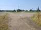 Rolny na sprzedaż - Karczmy, Zelów, Bełchatowski, 20 800 m², 2 080 000 PLN, NET-P55-GS-10429-76