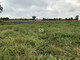 Rolny na sprzedaż - Dobroń, Pabianicki, 9600 m², 480 000 PLN, NET-N55-GS-10142-78