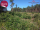 Leśne na sprzedaż - Osiek Nad Wisłą, Obrowo, Toruński, 5860 m², 293 000 PLN, NET-592/4957/OGS