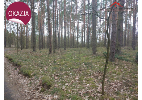 Działka na sprzedaż - Obrowo, Toruński, 1350 m², 87 750 PLN, NET-612/4957/OGS