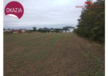 Działka na sprzedaż - Pigża, Łubianka, Toruński, 3000 m², 330 000 PLN, NET-589/4957/OGS