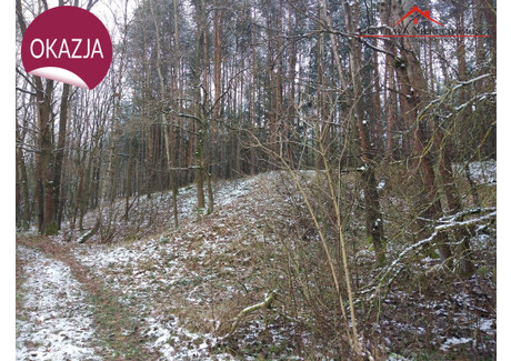 Działka na sprzedaż - Grążawy, Bartniczka, Brodnicki, 9100 m², 136 500 PLN, NET-599/4957/OGS