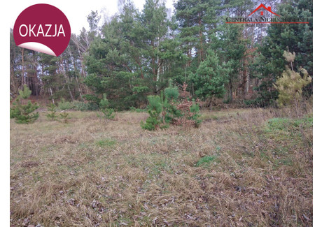 Działka na sprzedaż - Kopanino, Lubicz, Toruński, 3174 m², 380 880 PLN, NET-605/4957/OGS