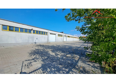 Magazyn, hala do wynajęcia - Mokre, Toruń, 1000 m², 17 500 PLN, NET-64/4957/OHW