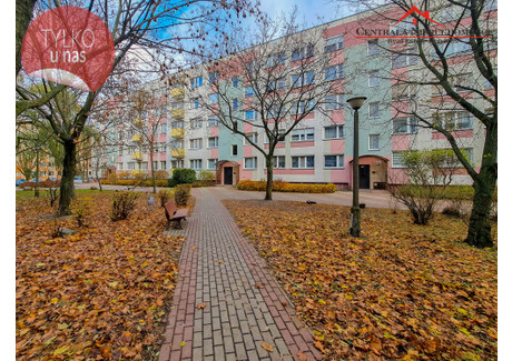 Mieszkanie na sprzedaż - Ignacego Łyskowskiego Rubinkowo, Toruń, 62,2 m², 489 000 PLN, NET-1516/4957/OMS