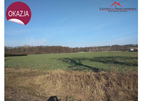 Działka na sprzedaż - Brąchnowo, Łubianka, Toruński, 1500 m², 112 500 PLN, NET-560/4957/OGS