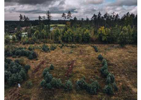 Działka na sprzedaż - Sulęczyno, Sulęczyno (gm.), Kartuski (pow.), 1400 m², 223 000 PLN, NET-2024/GD/KK/W/4