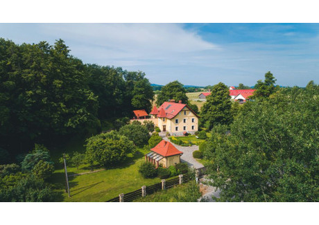 Dom na sprzedaż - Nowa Wieś Wielka, Paszowice (gm.), Jaworski (pow.), 350 m², 2 249 000 PLN, NET-135/4132/ODS