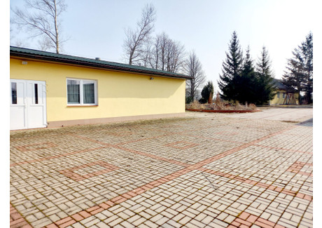 Lokal usługowy na sprzedaż - Plewki, Szepietowo (Gm.), Wysokomazowiecki (Pow.), 10 827 m², 1 350 000 PLN, NET-L/L/2021