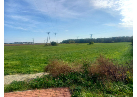 Działka na sprzedaż - Brykowska Wysokie Mazowieckie, Wysokomazowiecki (pow.), 47 011 m², 1 350 000 PLN, NET-49/D/2021