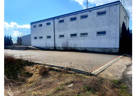 Przemysłowy na sprzedaż - Obrońców Wizny Wizna (Gm.), Łomżyński (Pow.), 15 918 m², 1 990 000 PLN, NET-K/K/2021
