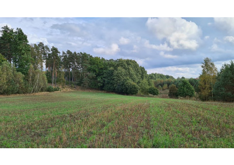 Działka na sprzedaż - Stary Wiec, Liniewo, Kościerski, 1043 m², 50 200 PLN, NET-40196/3186/OGS