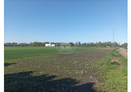 Działka na sprzedaż - Truskawkowa Dębno Polskie, Rawicz, Rawicki, 1400 m², 129 000 PLN, NET-353750