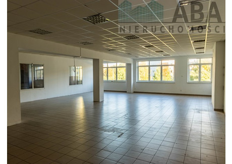 Lokal do wynajęcia - Nowy Konin, Konin, 290,07 m², 9000 PLN, NET-1920