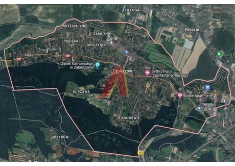 Działka na sprzedaż - Śląska Zabierzów, Krakowski, 3000 m², 1 390 000 PLN, NET-205251