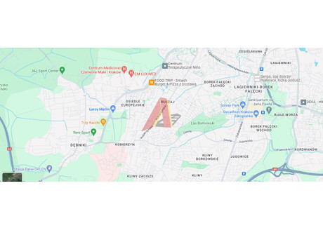 Dom na sprzedaż - Skotnicka Skotniki, Podgórze, Kraków, 150 m², 2 000 000 PLN, NET-205142