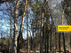 Leśne na sprzedaż - Leszno, Warszawski Zachodni, 3600 m², 400 000 PLN, NET-BRK-GS-646-1