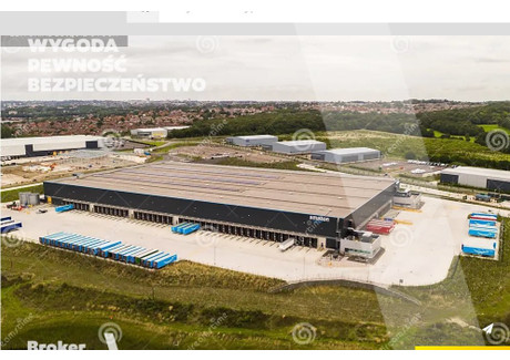 Działka na sprzedaż - Błonie, Warszawski Zachodni, 90 000 m², 22 500 000 PLN, NET-BRK-GS-1157