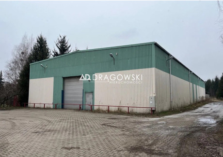 Magazyn, hala do wynajęcia - Kanie, Brwinów, Pruszkowski, 1300 m², 16 000 PLN, NET-210/4790/OOW