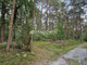 Leśne na sprzedaż - Osiedle Wilga, Wilga, Garwoliński, 2414 m², 179 000 PLN, NET-1440/4790/OGS