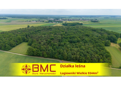 Działka na sprzedaż - Łagiewniki Wielkie, Pawonków, 9344 m², 99 000 PLN, NET-430808