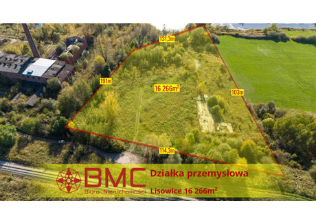 Działka na sprzedaż - Cegielniana Lisowice, Pawonków, 16 266 m², 1 200 000 PLN, NET-843133