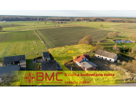 Działka na sprzedaż - Lubockie, Kochanowice, 2185 m², 99 000 PLN, NET-579388