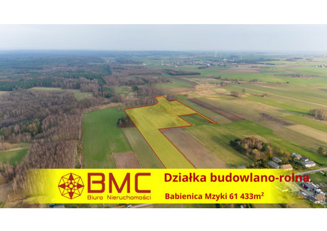 Działka na sprzedaż - Mzyki, Babienica, 61 433 m², 549 000 PLN, NET-558468