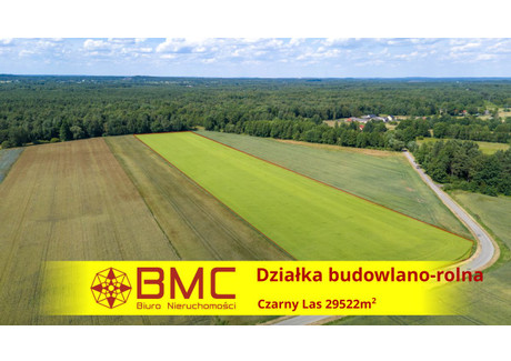 Działka na sprzedaż - Czarny Las Woźniki, 29 522 m², 450 000 PLN, NET-133388