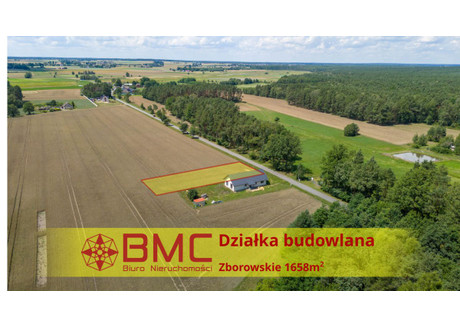 Działka na sprzedaż - Dolna Zborowskie, Ciasna, 1658 m², 115 000 PLN, NET-377003