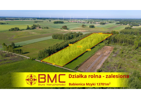 Działka na sprzedaż - Mzyki, Babienica, 13 701 m², 65 000 PLN, NET-715108