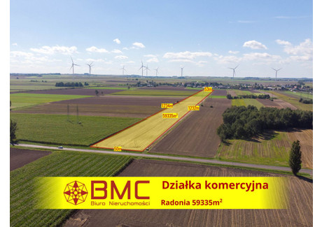 Działka na sprzedaż - Radonia, Wielowieś, 59 335 m², 1 128 000 PLN, NET-230483