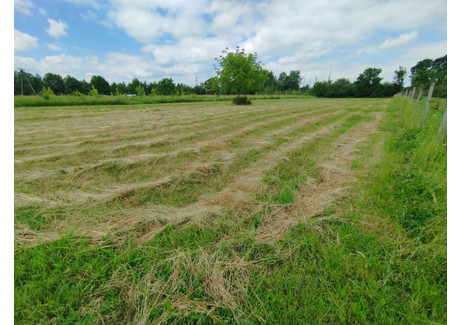 Działka na sprzedaż - Zbylitowska Kępa Bogumiłowicka, Wierzchosławice (Gm.), Tarnowski (Pow.), 2606 m², 169 000 PLN, NET-6510-1