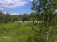 Rolny na sprzedaż - Piekut, Chynów, Grójecki, 195 300 m², 3 700 000 PLN, NET-API-GS-29030