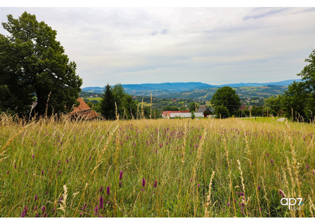 Działka na sprzedaż - Sowliny, Limanowa, Limanowski, 3918 m², 179 000 PLN, NET-AP7-GS-13400-4