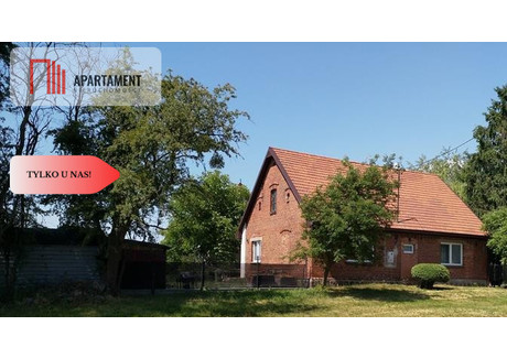 Dom na sprzedaż - Więcbork, Sępoleński, 86 m², 495 000 PLN, NET-659609