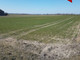 Rolny na sprzedaż - Trzebień, Dobrcz, Bydgoski, 3688 m², 96 000 PLN, NET-478320