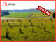 Rolny na sprzedaż - Włóki, Dobrcz, Bydgoski, 7000 m², 320 000 PLN, NET-472508