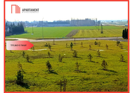 Działka na sprzedaż - Włóki, Dobrcz, Bydgoski, 7000 m², 320 000 PLN, NET-472508