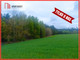 Rolny na sprzedaż - Błądzim, Lniano, Świecki, 36 819 m², 499 000 PLN, NET-734208