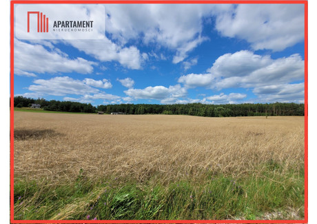 Działka na sprzedaż - Skorzewo, Kościerzyna, Kościerski, 6000 m², 259 999 PLN, NET-646496