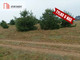 Działka na sprzedaż - Wełpin, Lubiewo, Tucholski, 5941 m², 295 000 PLN, NET-341501
