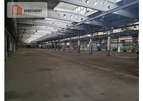 Magazyn do wynajęcia - Grudziądz, 1000 m², 18 000 PLN, NET-806081