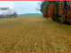 Rolny na sprzedaż - Bysław, Lubiewo, Tucholski, 3000 m², 90 000 PLN, NET-902167